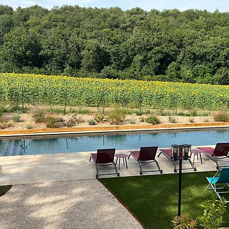 Sans Souci Bed And Breakfast Luxe Heated Pool And Restaurant Luzillé Kültér fotó