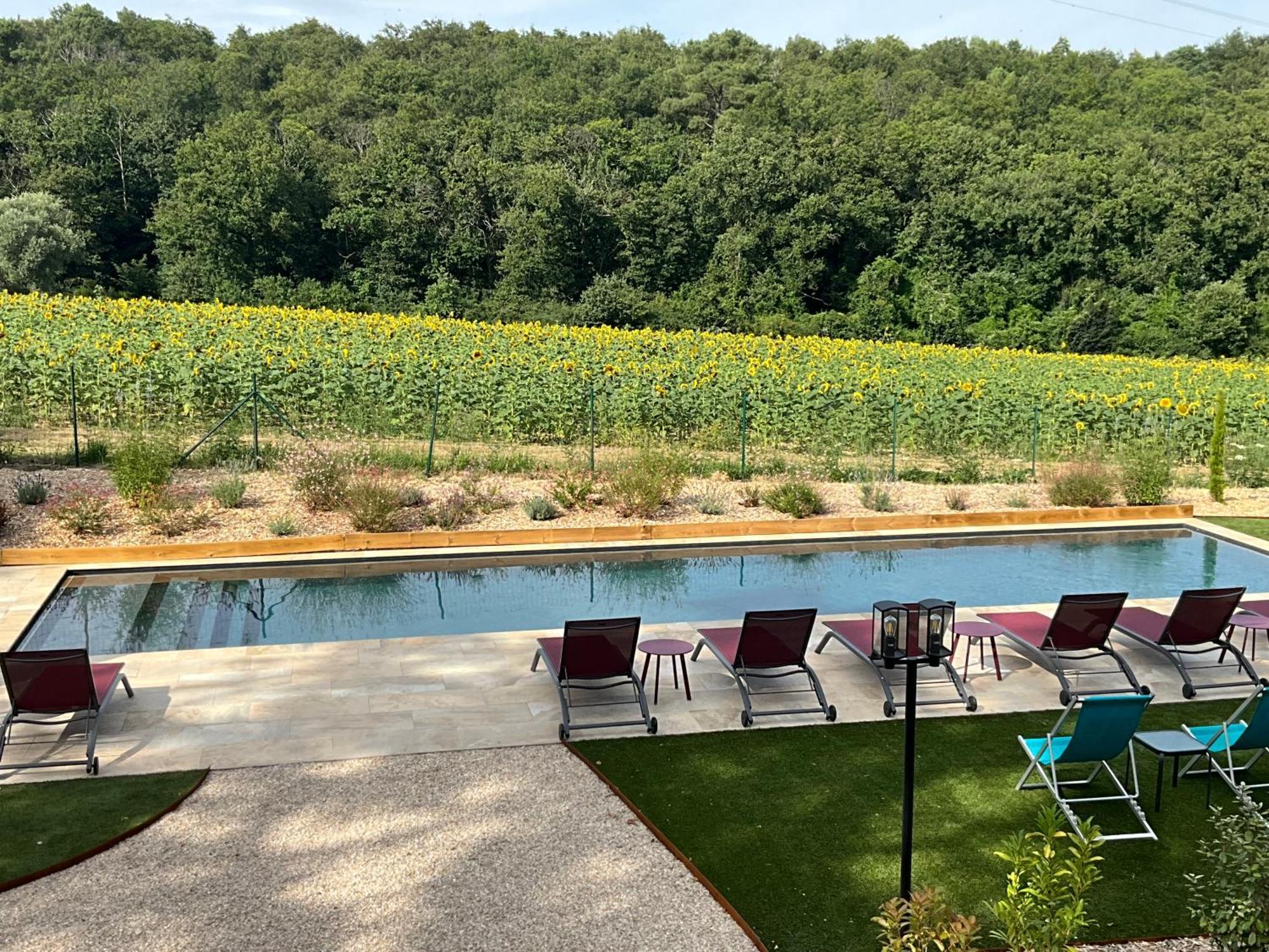 Sans Souci Bed And Breakfast Luxe Heated Pool And Restaurant Luzillé Kültér fotó